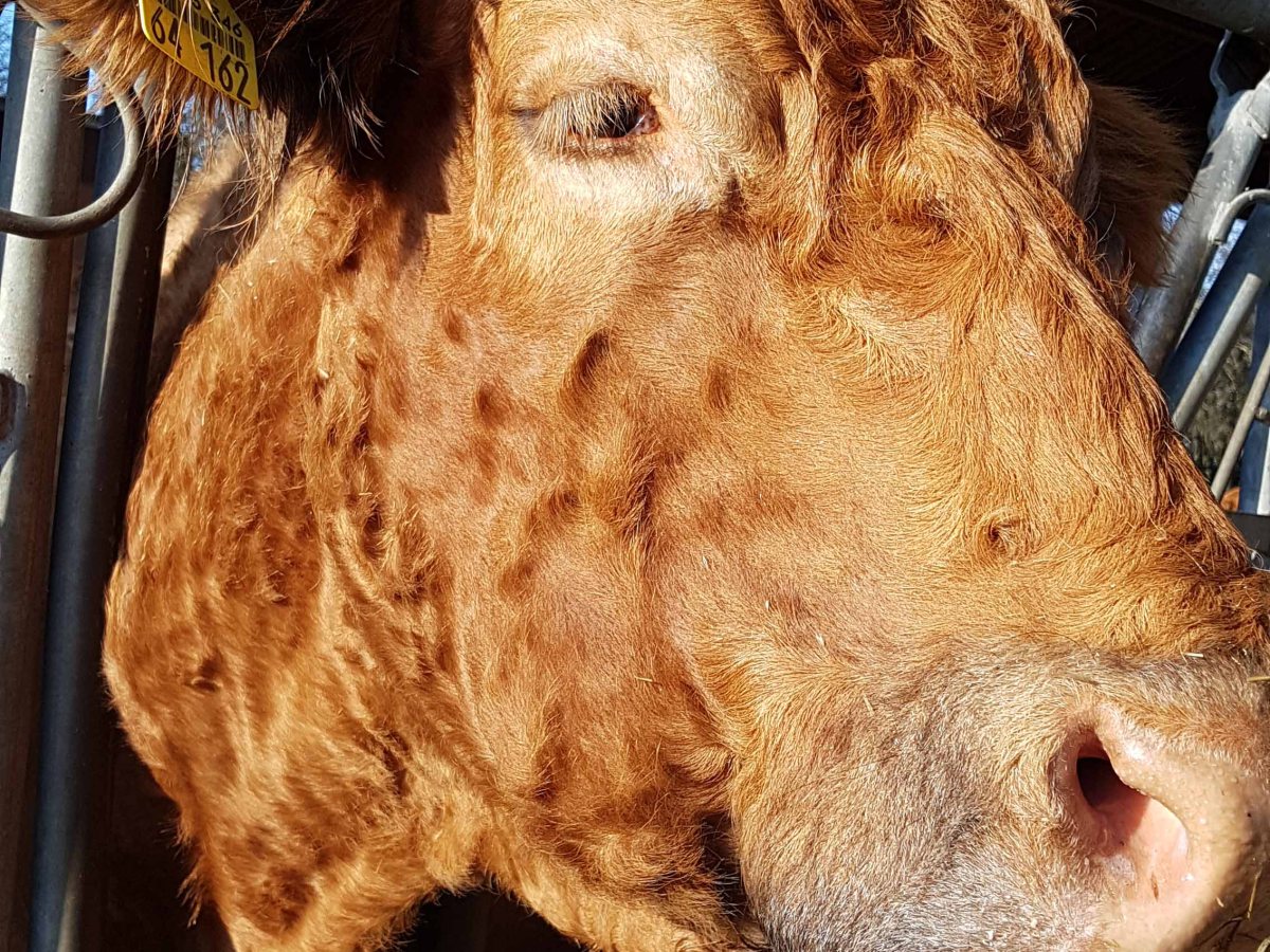 Bio Landbau – was steckt dahinter?