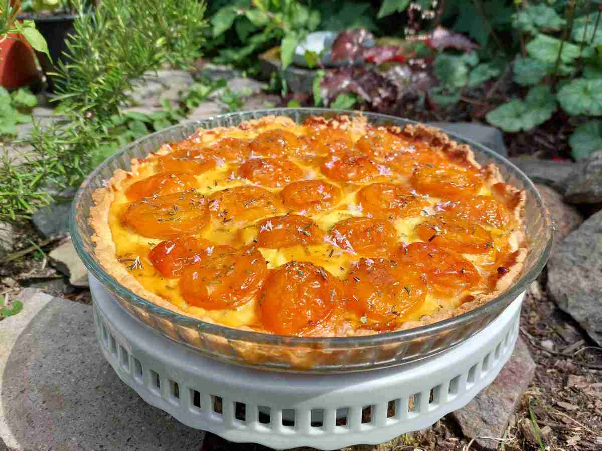 Französische Aprikosen-Rosmarin Tarte mit Vanilleeis