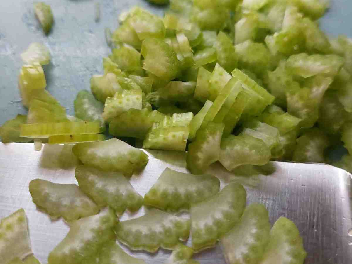 Foodsaver – Selleriesalz